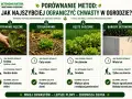 Porównanie metod ograniczania popularnych chwastów w ogrodzie: ręczne wyrywanie, ściółkowanie, gęste sadzenie i bariery betonowe.