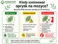 Kiedy domowe sposoby na mszyce zawodzą? Infografika pokazuje, jak rozpoznać małą kolonię, problem narastający i silne porażenie, sugerując odpowiednie metody walki.