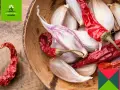Czosnek i suszone papryczki chili w drewnianej misce, składniki naturalnego oprysku z czosnku.