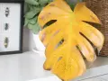 Monstera z żółtymi, plamistymi liśćmi, wskazującymi na choroby liści. Obok ramka z owadami.