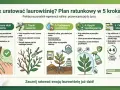 Plan ratunkowy dla laurowiśni: ocena, cięcie, podlewanie, oprysk i cierpliwość. Zadbaj o roślinę, by uniknąć żółte liście.