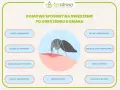 Domowe sposoby na swędzenie po ugryzieniu komara: olejki, sok z cytryny, zimne okłady i plastry z aloesu.