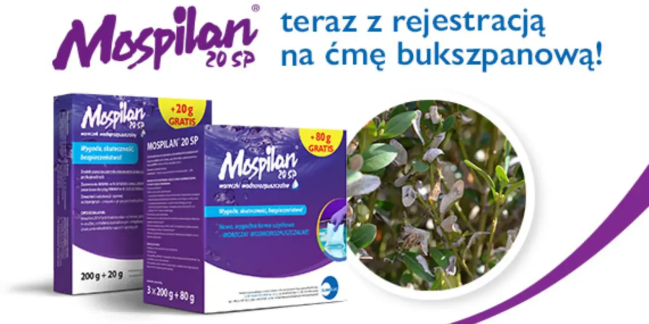 Mospilan na ćmę bukszpanową. Zwalcz szkodniki skutecznie i bezpiecznie. Opakowania z gratisem.