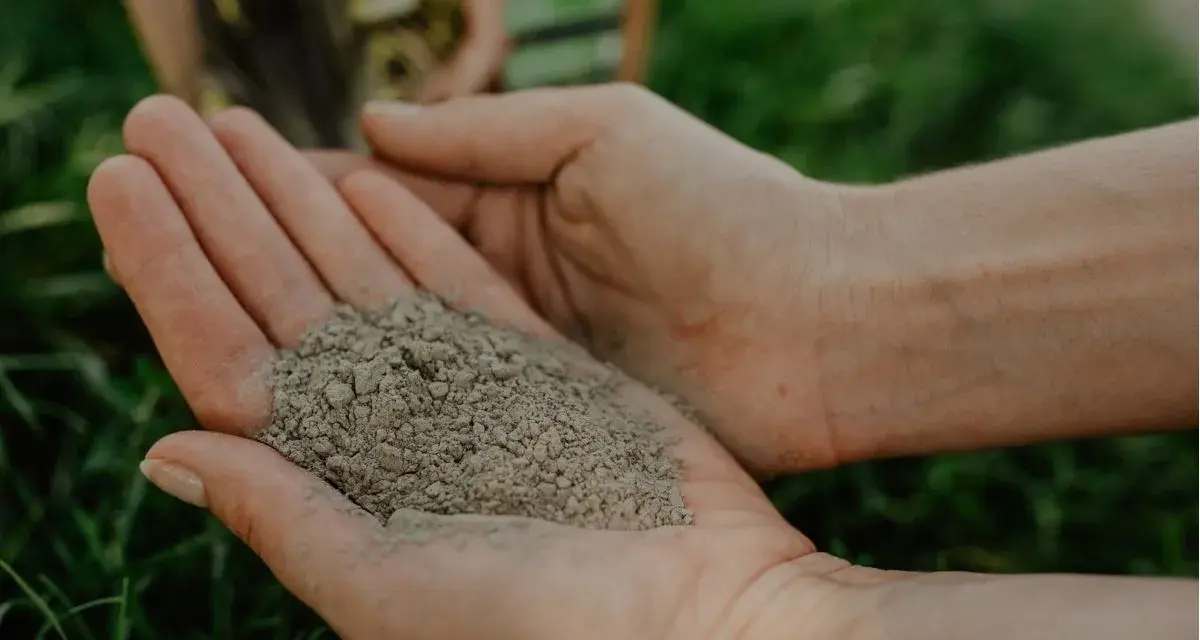 Dłonie trzymają drobnoziarnistą maczkę bazaltową, gotową do użycia w ogrodzie.