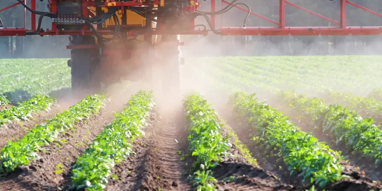 Traktor opryskuje pole młodymi ziemniakami. Czy to glifosat co to za środek?