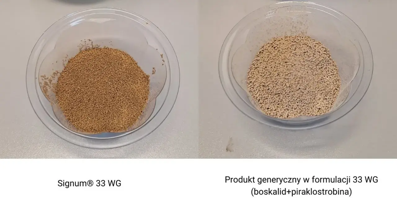 Dwa naczynia z granulatem. Po lewej Signum® 33 WG, po prawej produkt generyczny.