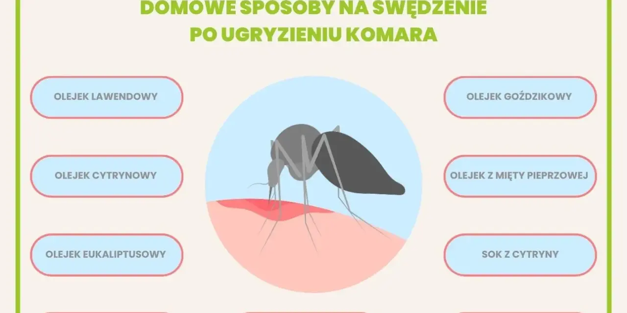 Domowe sposoby na swędzenie po ugryzieniu komara: olejki, sok z cytryny, zimne okłady i plastry z aloesu.