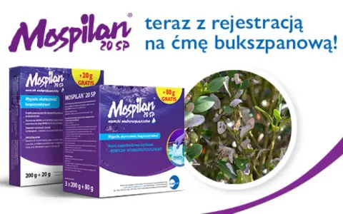 Mospilan na ćmę bukszpanową. Zwalcz szkodniki skutecznie i bezpiecznie. Opakowania z gratisem.