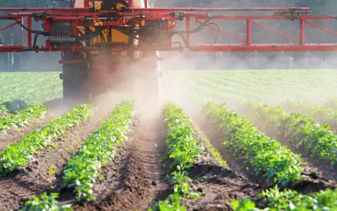 Traktor opryskuje pole młodymi ziemniakami. Czy to glifosat co to za środek?