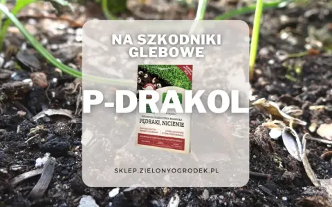 P-DRAKOL - ekologiczny preparat na pędraki i nicienie. Ogranicza uszkodzenia trawnika i stymuluje rozwój systemu korzeniowego.