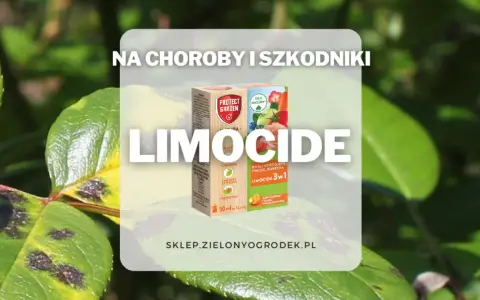 Pudełko środka Limocide na tle liści z plamami chorobowymi.