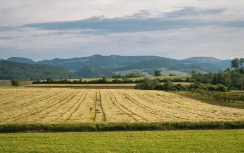 Nowoczesne zarządzanie danymi: kalkulator emisji CO₂ w gospodarstwie jako fundament strategii środowiskowej