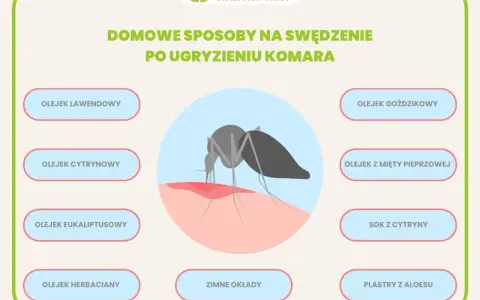 Domowe sposoby na swędzenie po ugryzieniu komara: olejki, sok z cytryny, zimne okłady i plastry z aloesu.