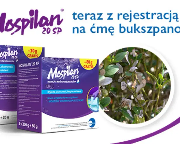 Mospilan na ćmę bukszpanową. Zwalcz szkodniki skutecznie i bezpiecznie. Opakowania z gratisem.