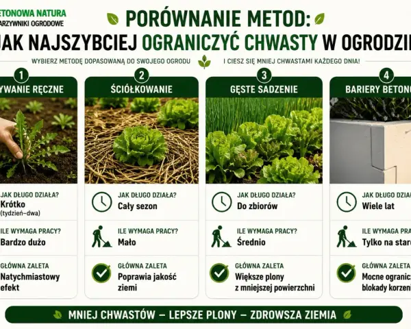 Porównanie metod ograniczania popularnych chwastów w ogrodzie: ręczne wyrywanie, ściółkowanie, gęste sadzenie i bariery betonowe.