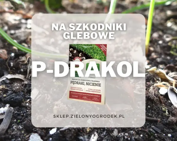 P-DRAKOL - ekologiczny preparat na pędraki i nicienie. Ogranicza uszkodzenia trawnika i stymuluje rozwój systemu korzeniowego.