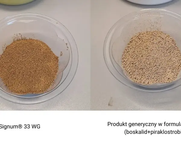Dwa naczynia z granulatem. Po lewej Signum® 33 WG, po prawej produkt generyczny.