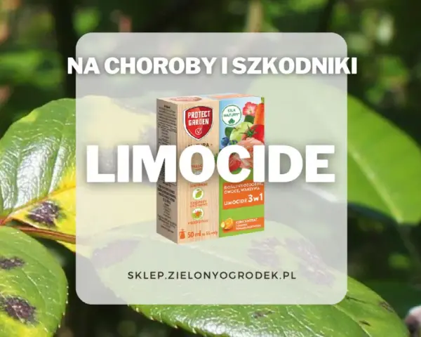 Pudełko środka Limocide na tle liści z plamami chorobowymi.