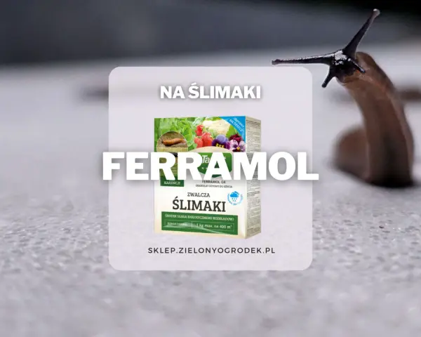 Ferrramol – fosforan żelaza na ślimaki, skuteczny środek do ochrony roślin. Zwalcza ślimaki, ulega biodegradacji.