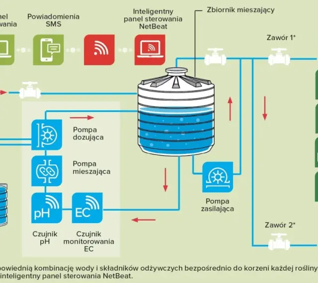 Schemat przedstawia system fertygacji z inteligentnym sterowaniem NetBeat, pompami, czujnikami i zbiornikami nawozowymi, zapewniający optymalne nawadnianie roślin.