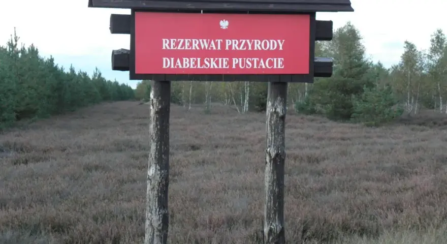 Rezerwat przyrody Diabelskie Pustacie - piękno wrzosowisk i szlaków