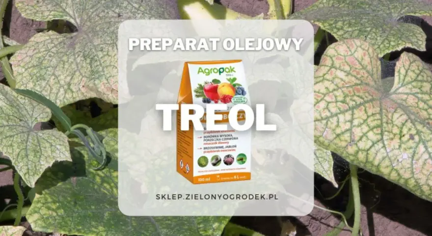 Opakowanie preparatu Treol na tle liści roślin.