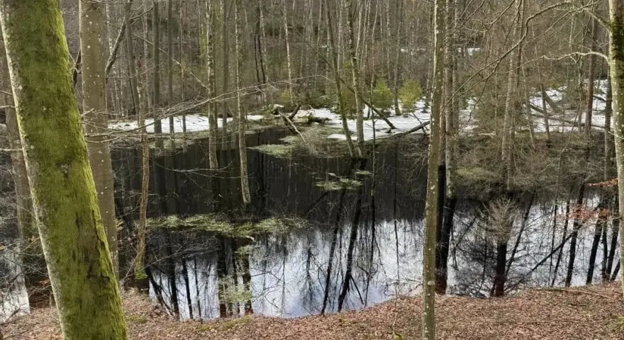 Rezerwat przyrody Lubygość: piękne krajobrazy i unikalna fauna