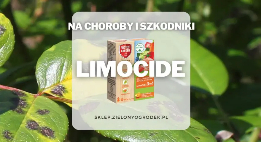 Pudełko środka Limocide na tle liści z plamami chorobowymi.
