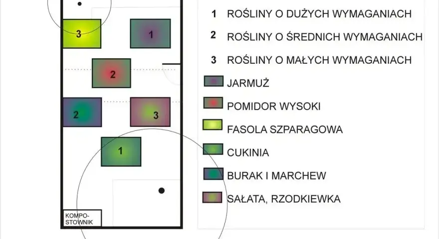 Schemat płodozmianu. Fasolka szparagowa (3) dobrze rośnie obok pomidorów (2) i roślin o małych wymaganiach.