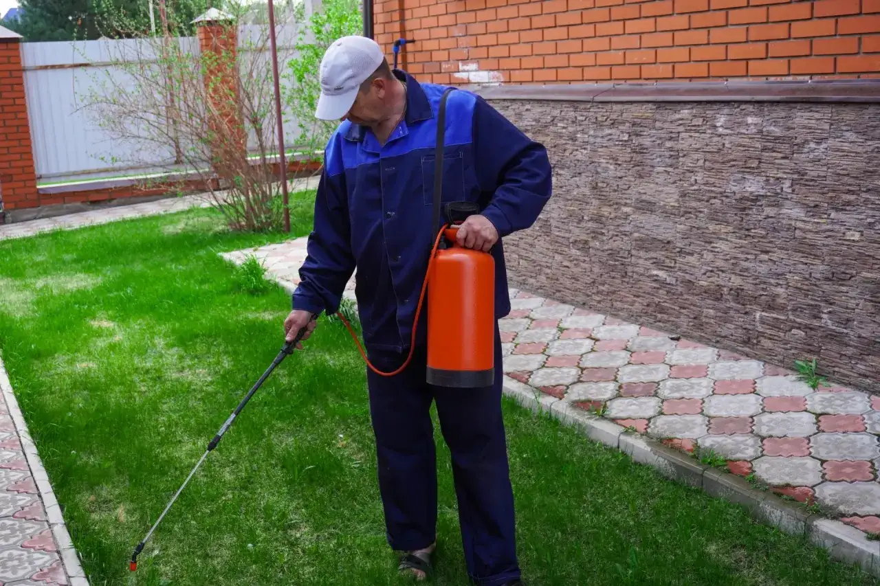 Mężczyzna w niebieskim kombinezonie i czapce z opryskiwaczem w ręku, przygotowuje się do zabiegu, kiedy opryskiwać chwasty na trawniku.