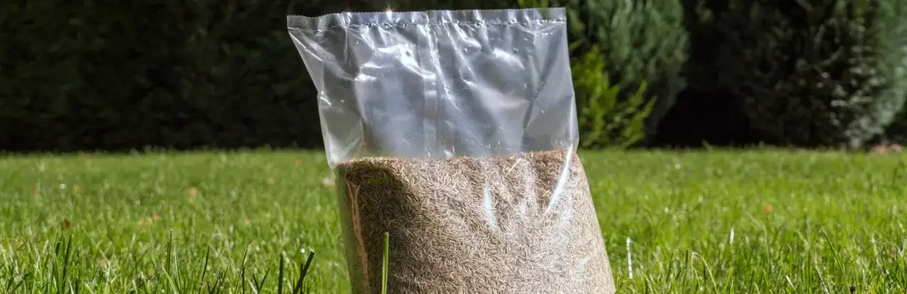 Torebka z nasionami trawy na zielonej trawie. Czy nasiona trawy muszą być przykryte? Odpowiedź znajdziesz w instrukcji.