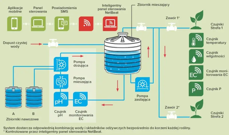 Schemat przedstawia system fertygacji z inteligentnym sterowaniem NetBeat, pompami, czujnikami i zbiornikami nawozowymi, zapewniający optymalne nawadnianie roślin.